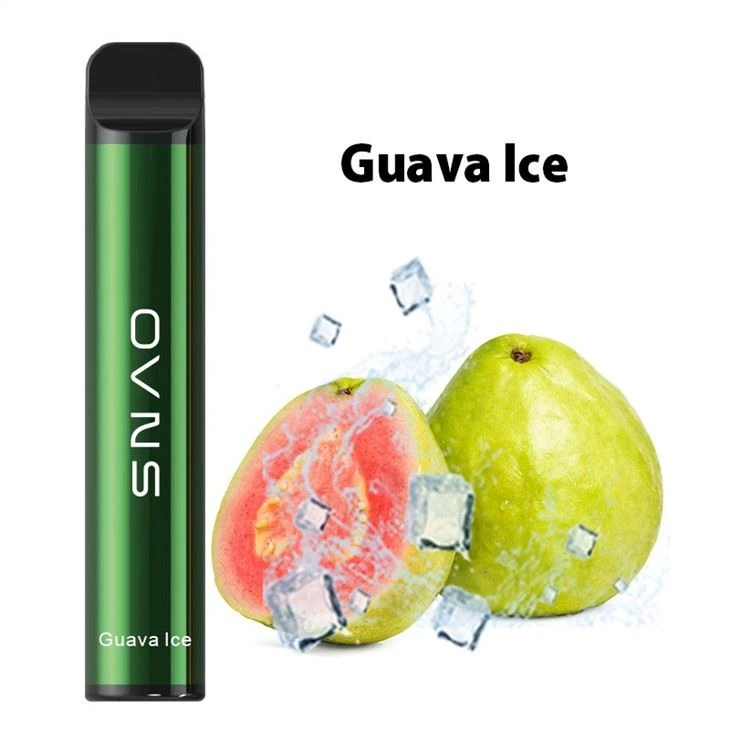 Disposable Hookah Vape