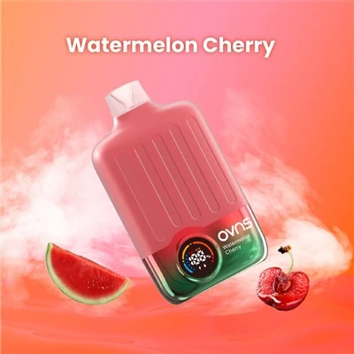 صفحه نمایش پاف یکبار مصرف Vape 2024 جدید